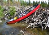 Yukon Canoe Adventure